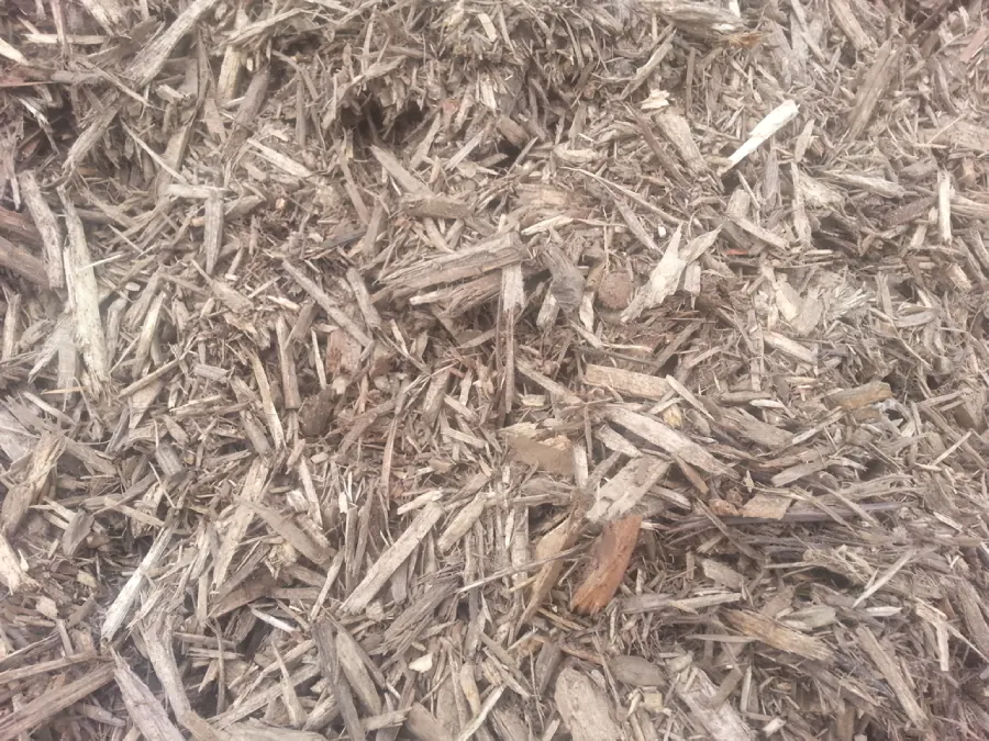 A pile of wood shavings that are brown and has some dirt on it.