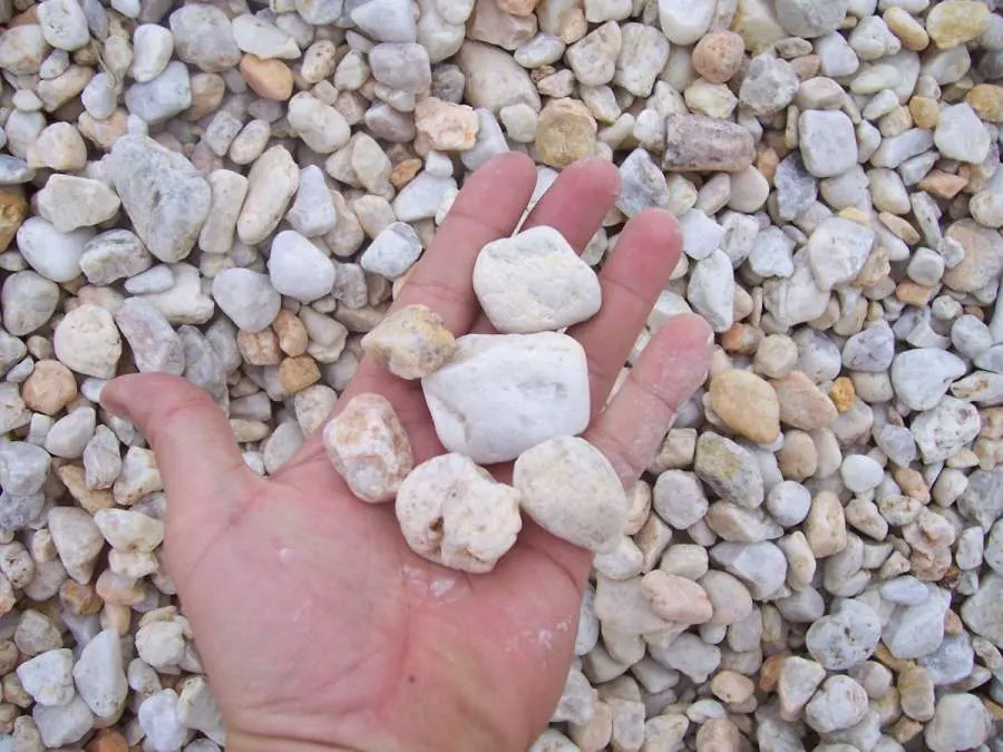 A hand holding rocks in the dirt.