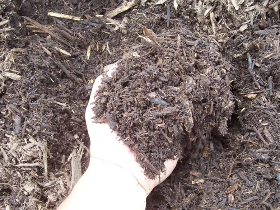 A hand is holding up a pile of mulch.