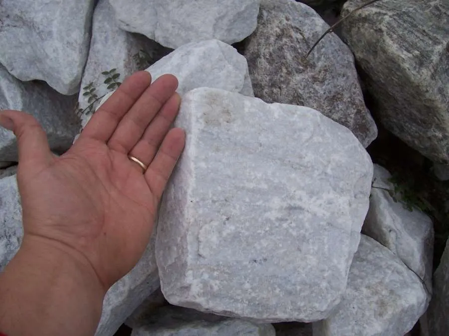 A hand is holding onto some rocks