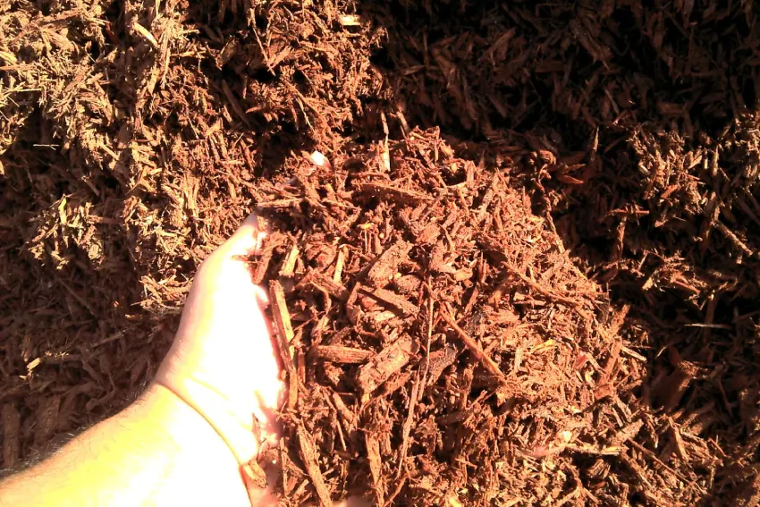 A person 's foot is shown in front of mulch.