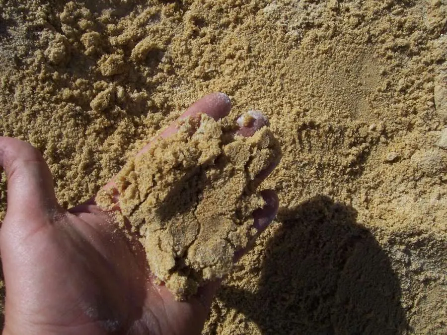 A hand is holding some sand in it