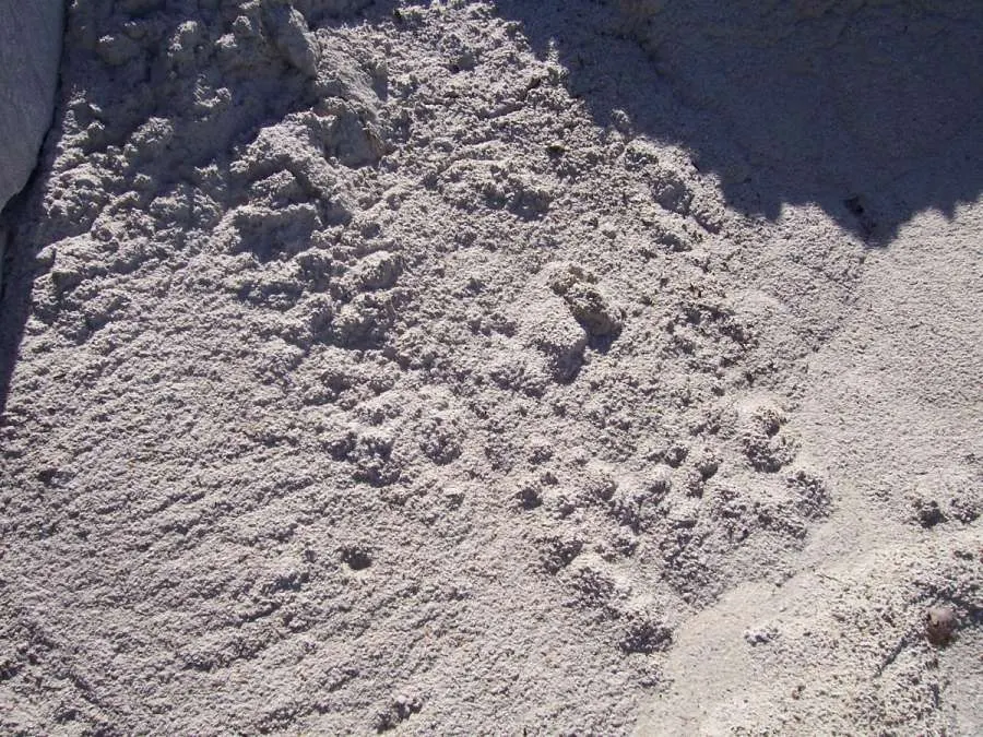 A pile of white sand on top of the ground.